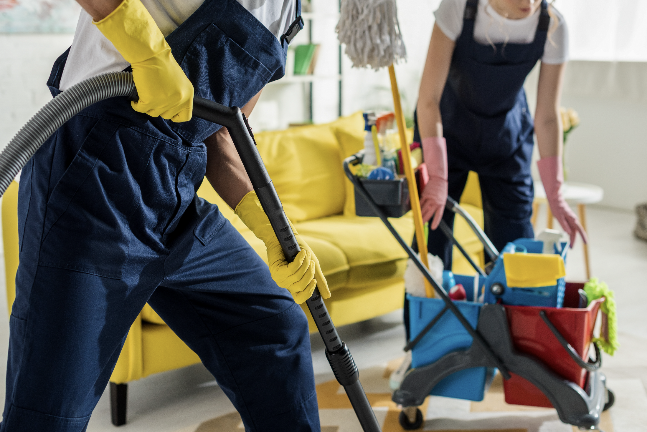 Pureline Cleaning